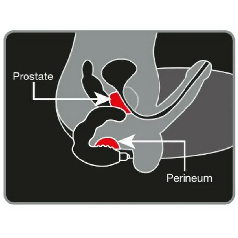 Bad Boy - Prostate Stimulator