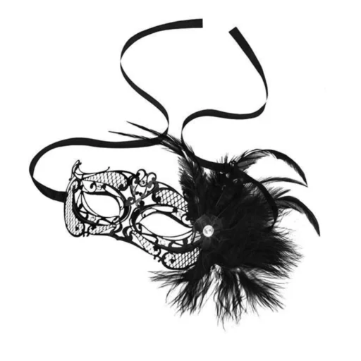 Steamy Shades Mardi Gras Mask With Feather